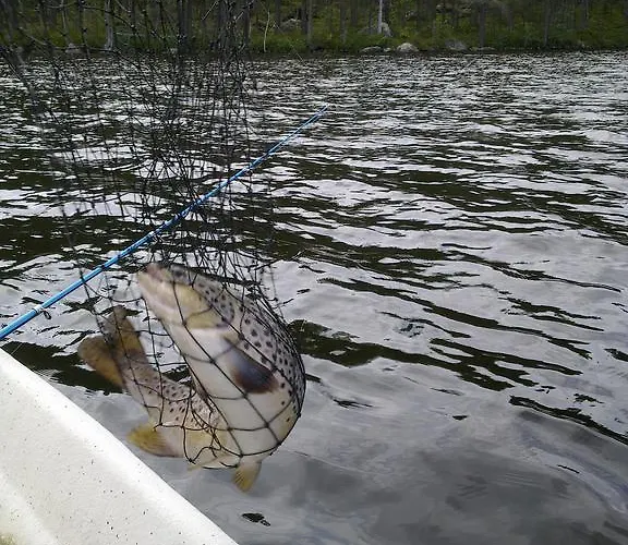 Inn Koirasalmen Luontotupa