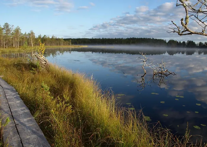 Koirasalmen Luontotupa Kivijärvi